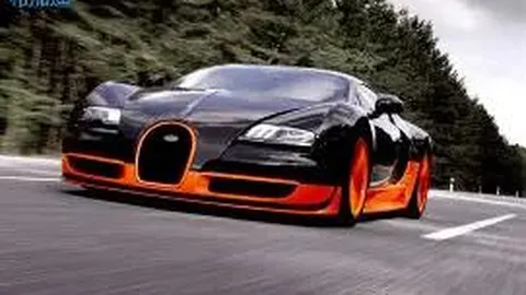 “史上最盛婚礼：议员萨拉·加希与赛勒曼·加希之子埃格宗喜结连理”