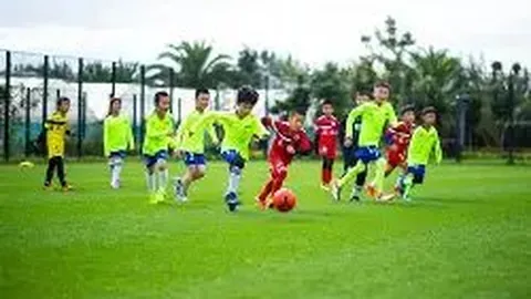 辰龙捕鱼官方网站