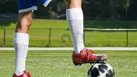 辰龙捕鱼官方网站 资讯 113221 yj6